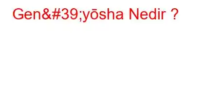 Gen&#39;yōsha Nedir ?